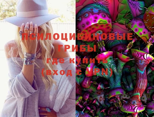 МДПВ Арсеньев