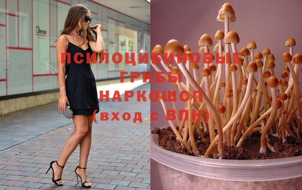 МДПВ Арсеньев