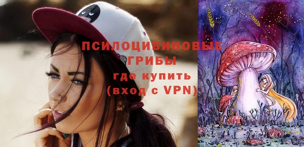 apvp Балахна