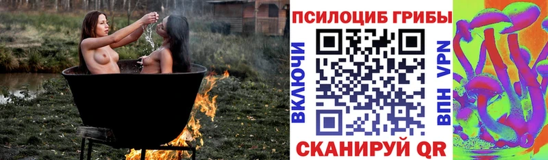 Галлюциногенные грибы Magic Shrooms  Баксан 