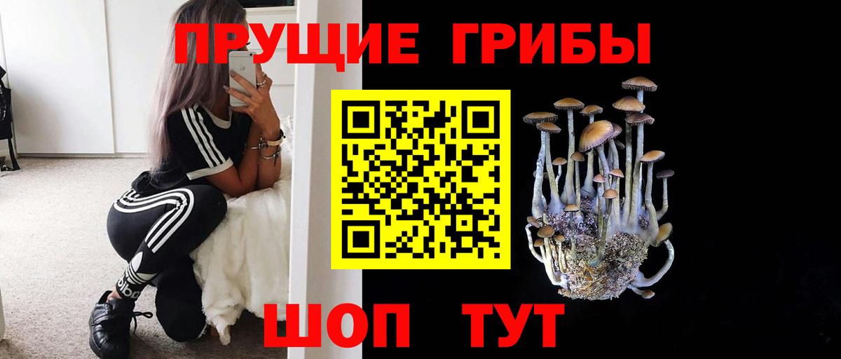 Псилоцибиновые грибы прущие грибы  Вход с VPN  Баксан  Псилоцибиновые грибы прущие грибы 